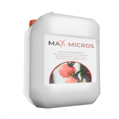 maxMicros