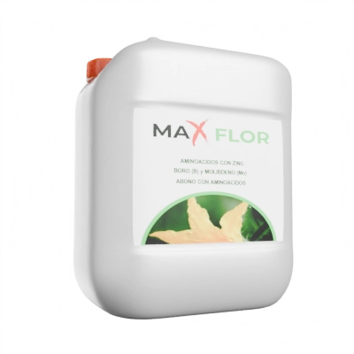 maxFlor